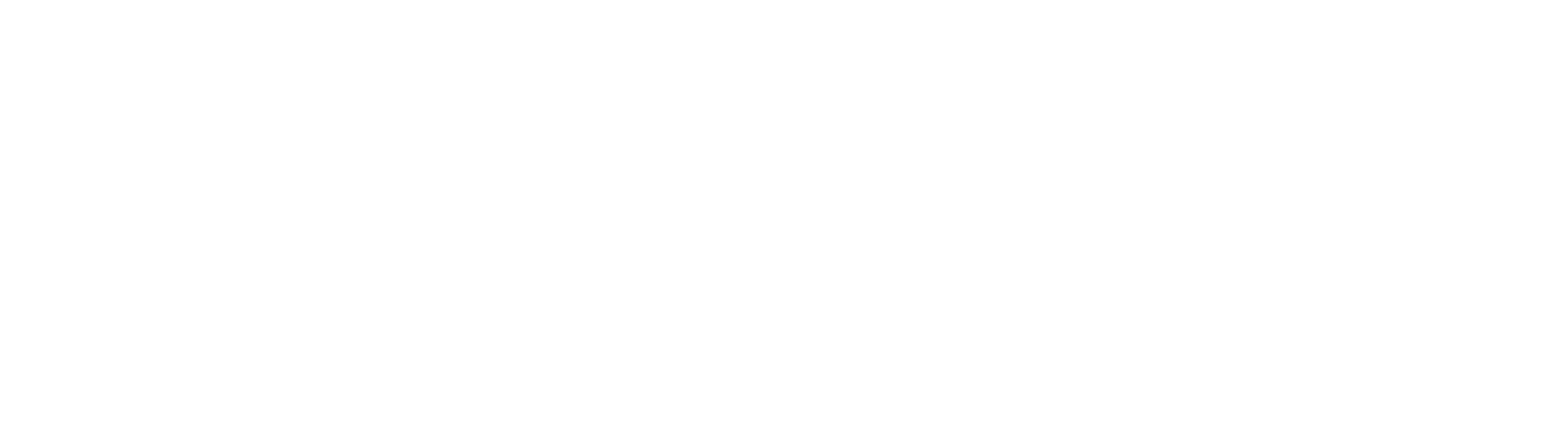 HistoRAG